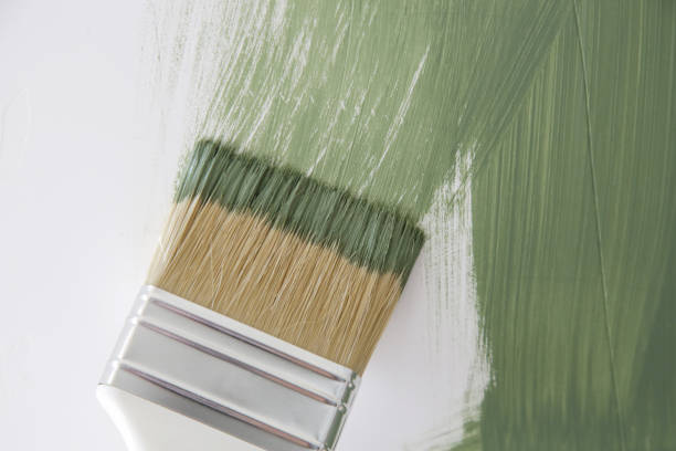 Best Mold Damage Restoration  in Eaton, CO