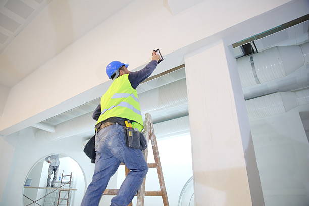 Best Mold Odor Removal Services  in Eaton, CO